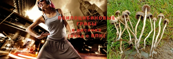 прущая мука Саяногорск