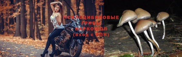 прущая мука Сатка